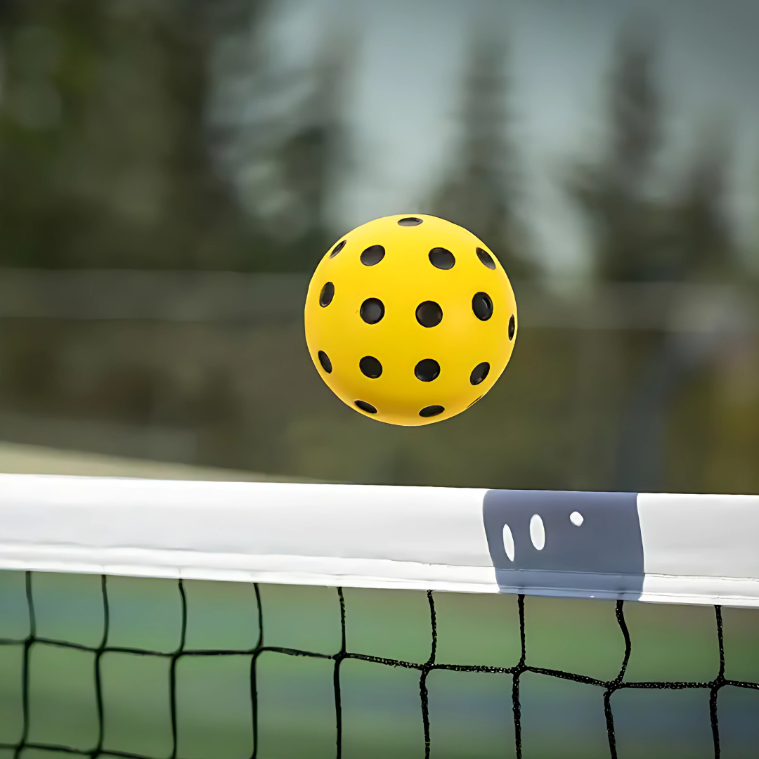 2pcs Quiet Pickleball Balls