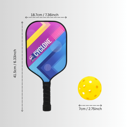 Fiberglass Pickleball Set: 2 Paddles, 4 Balls & Carry Bag